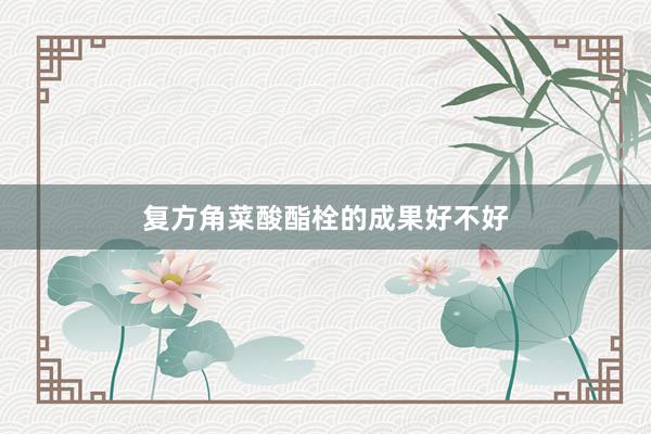 复方角菜酸酯栓的成果好不好