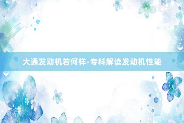 大通发动机若何样-专科解读发动机性能